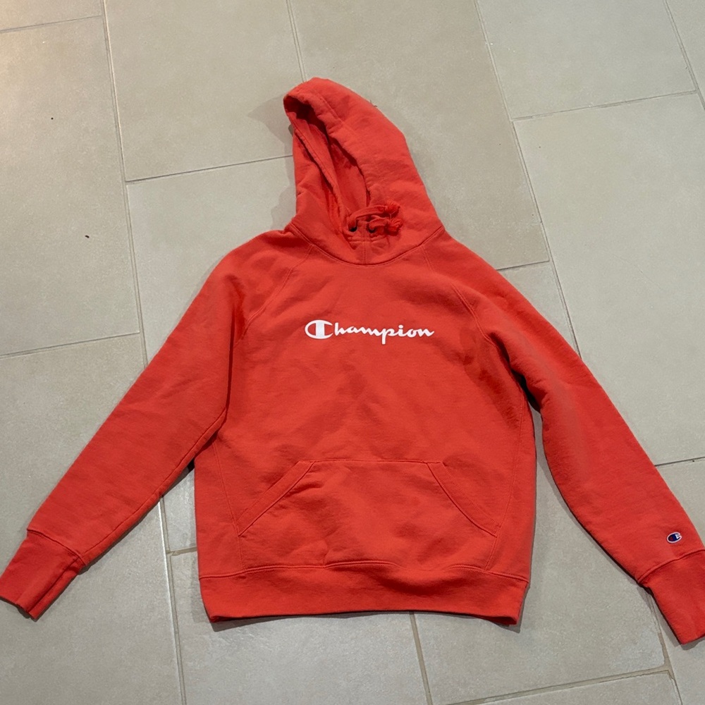 Champion Authentic Athleticwear Coral Pullover Hoodie Small gorpcore Athleisure